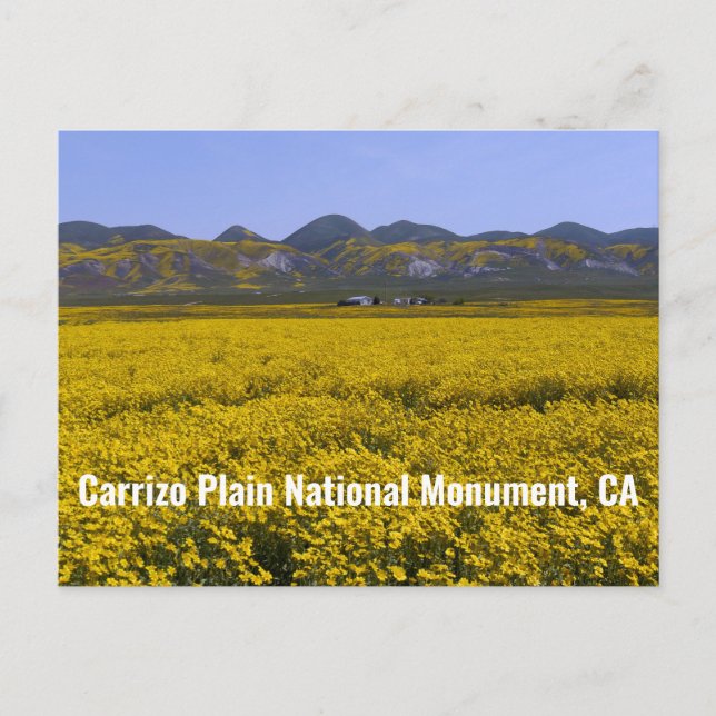 Carrizo Plain National Monument Postcard (Front)