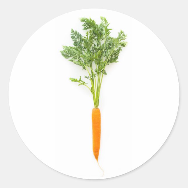 Carrot Classic Round Sticker (Front)
