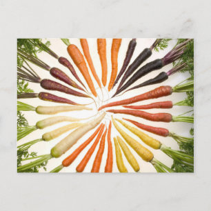 Carrot Colour Wheel Postcard