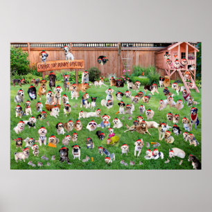 Carrot Top Bunny Daycare 2015 Poster