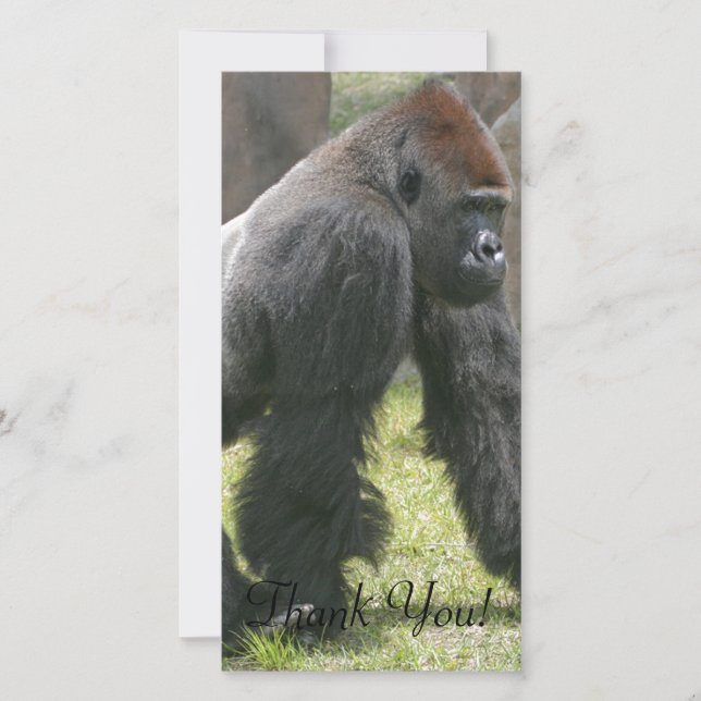 Carrot Topped Gorilla With Fluffy Arms Thank You Card (Front)