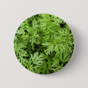 Carrot Tops Button