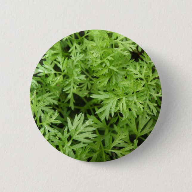 Carrot Tops Button (Front)