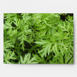 Carrot Tops Envelopes