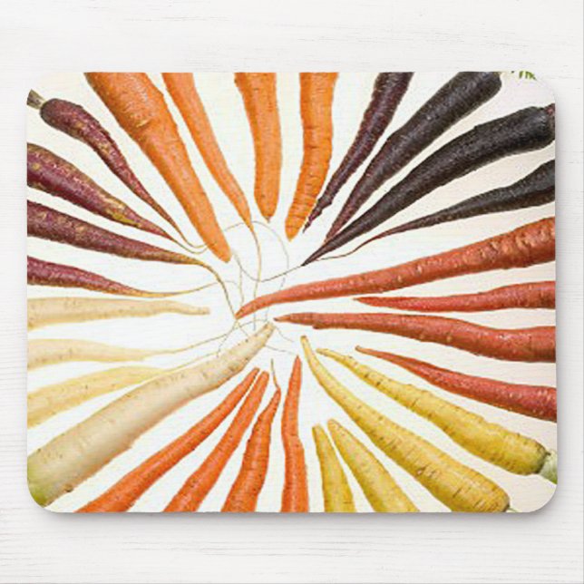 Carrot Vegetables Colourful Rainbow Pattern Garden Mouse Pad (Front)