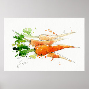 Carrot, Watercolor Vegetable Kitchen wall art