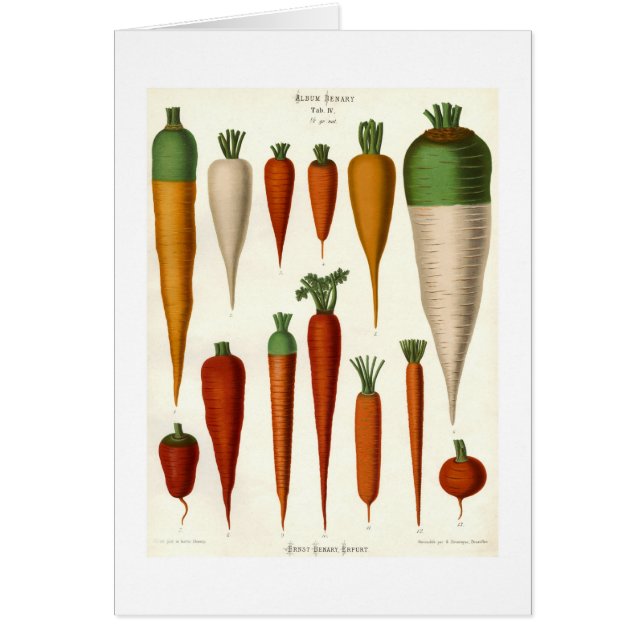 Carrots (Front)
