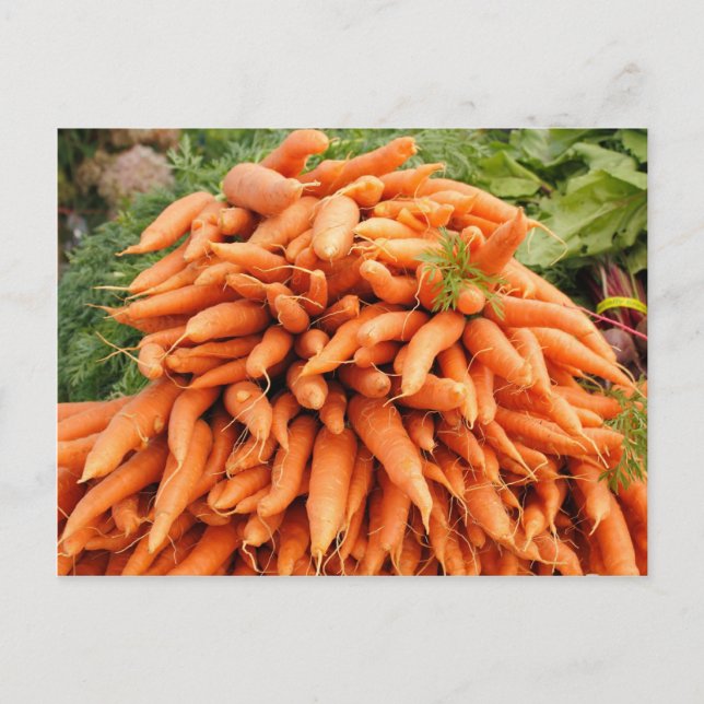 Carrots at Farmers market Postcard (Front)