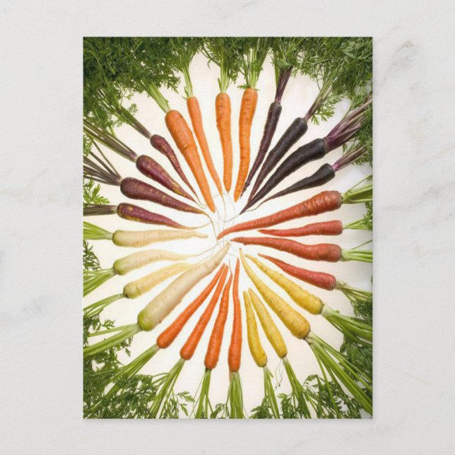 Carrots Colorful Garden Pattern Postcard (Front)