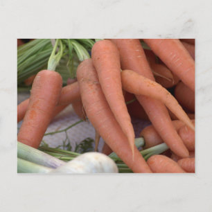 Carrots Postcard
