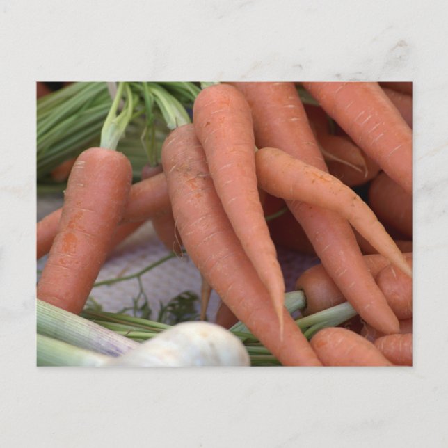 Carrots Postcard (Front)