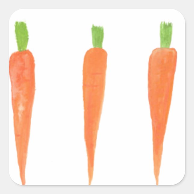 Carrots vegetable vegan Vegeterian orange garden  Square Sticker (Front)