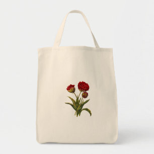 Carry bag