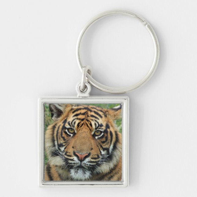 carry key tiger ring (Front)