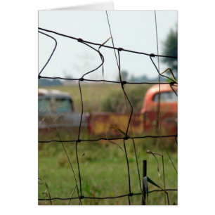 Cars and Trucks Rust Away in a Rural Field