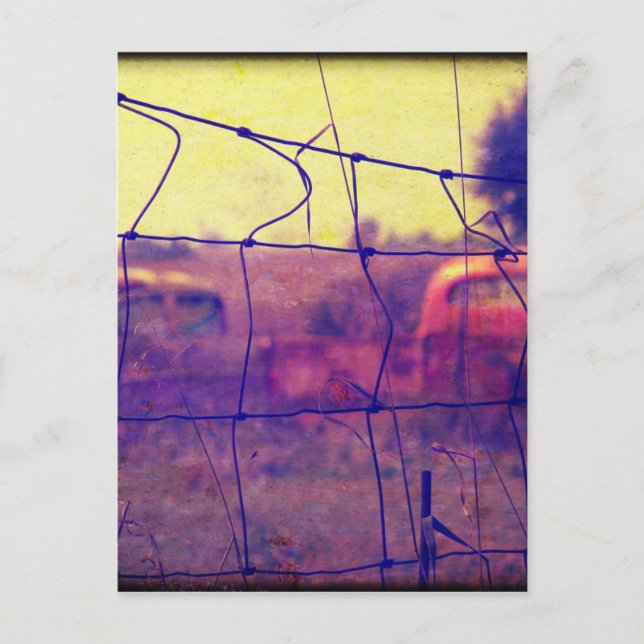 Cars and Trucks Rusting Away Postcard (Front)