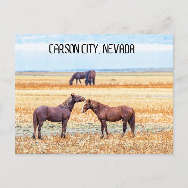 Carson City Nevada Souvenir Postcard Horses (Front)