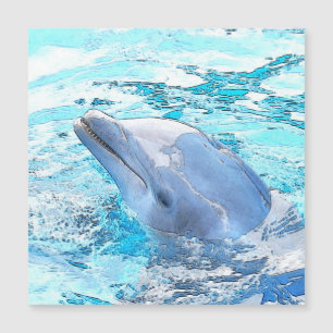 CArt Dolphin