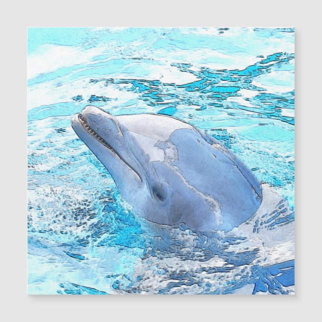 CArt Dolphin (Front)