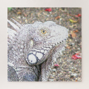 CArt Iguana Jigsaw Puzzle
