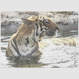 CArt Tiger 118 Tissue Paper