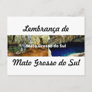 Cartão postal lembrança de Mato Grosso do Sul Postcard