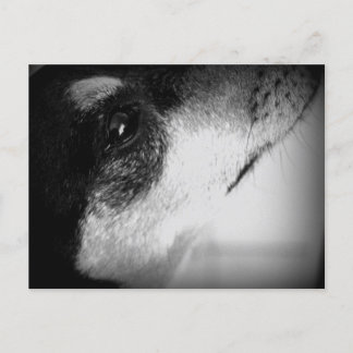 Cartão Postal: Thor Postcard