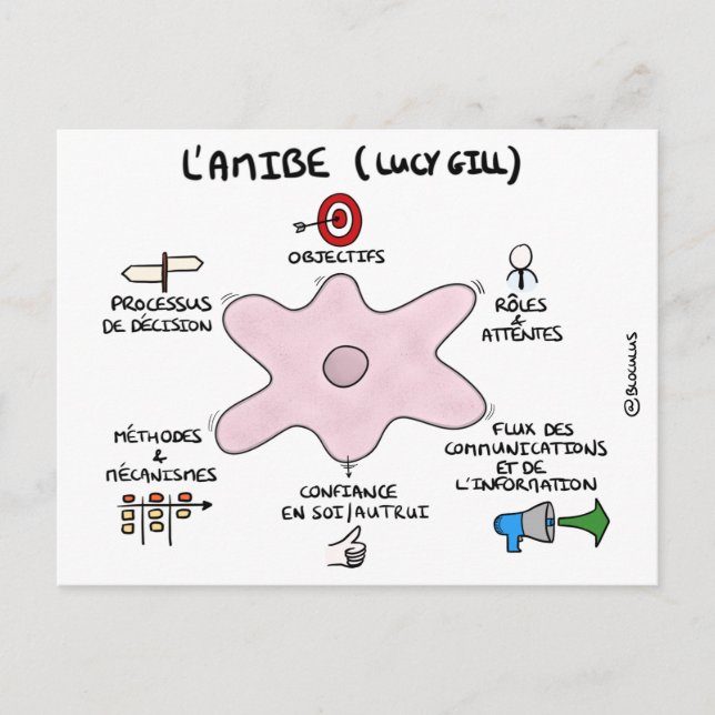 Carte de coaching : L'amibe de Lucy Gill Postcard (Front)