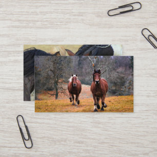 Carte De Visite Mini  Business Cards