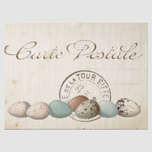 Carte Postale Bird Set 1 of 4 (Postmark Eggs) Tissue Paper