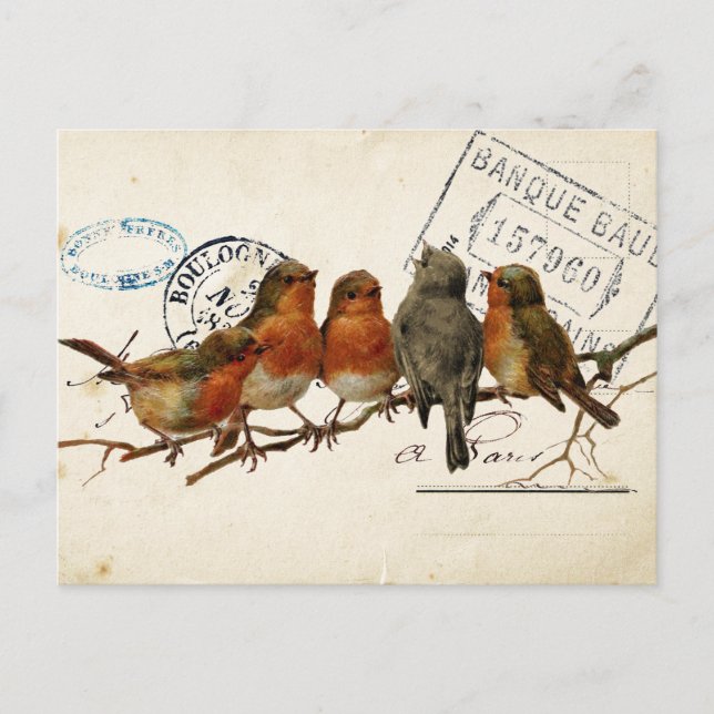 Carte Postale Bird Set 3 of 4 (European Robins)  Postcard (Front)