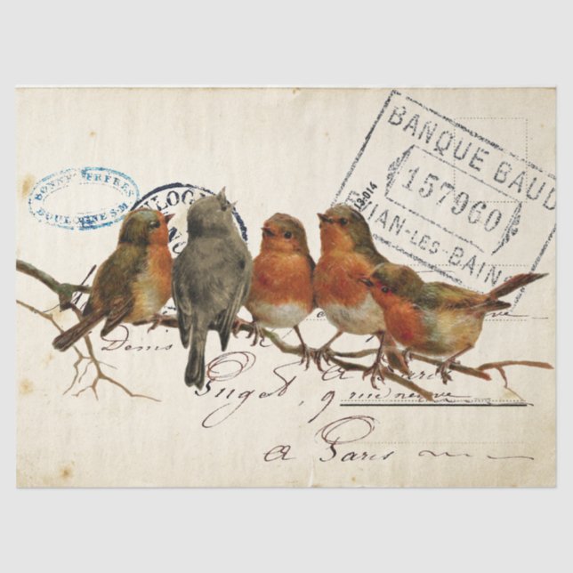 Carte Postale Bird Set 3 of 4 European Robins Text Tissue Paper (Front)