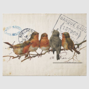 Carte Postale Bird Set 3 of 4 (European Robins) Tissue Paper