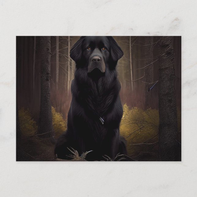 Carte Postale Chien Divers Postcard (Front)