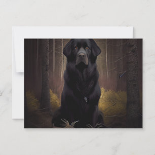 Carte Postale Chien Divers Postcard