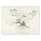 Carte Postale Forget Me Not French Script Bird Tis