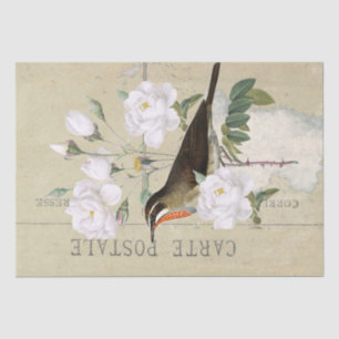 Carte Postale French Bird White Rose Decoupage     Tissue Paper