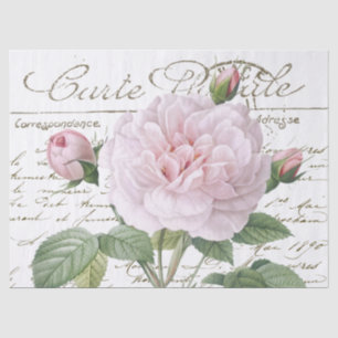 Carte Postale Pink Redouté Rose Gold French Scrip Tissue Paper