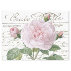 Carte Postale Pink Redouté Rose Gold French Script