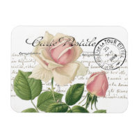 Carte Postale Pink Rose French Script Vintage
