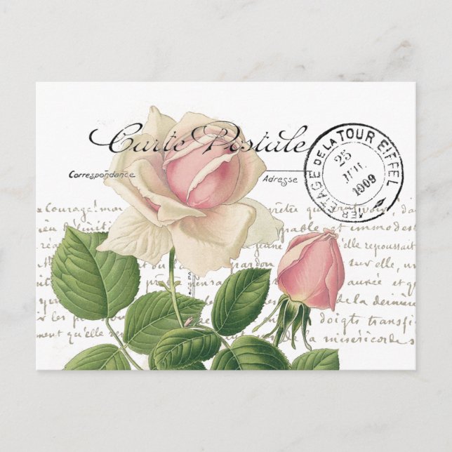Carte Postale Pink Rose French Script Vintage Postcard (Front)