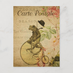 Carte postale vintage  grenouille postcard