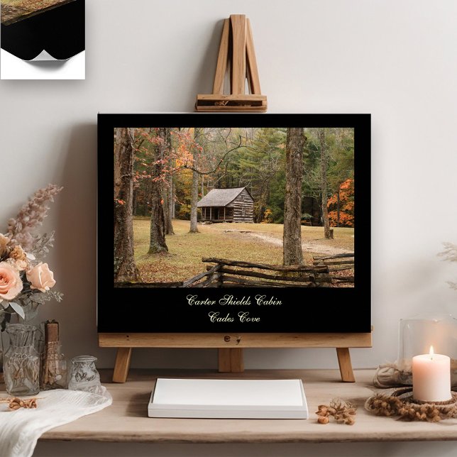 Carter Shields Cabin Poster (Creator Uploaded)