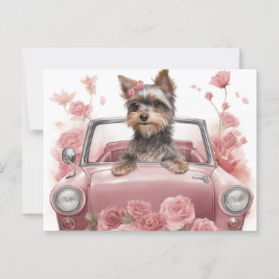 Cartes Postales Dog Yorkshire Postcard