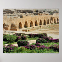 Carthage ancient Punic city, destroyed and