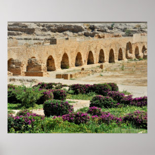 Carthage ancient Punic city, destroyed and Poster