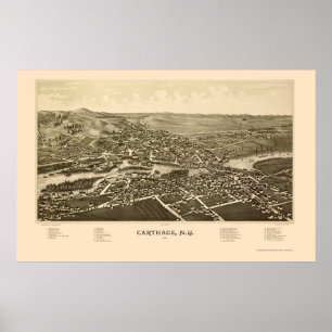 Carthage, NY Panoramic Map - 1888 Poster