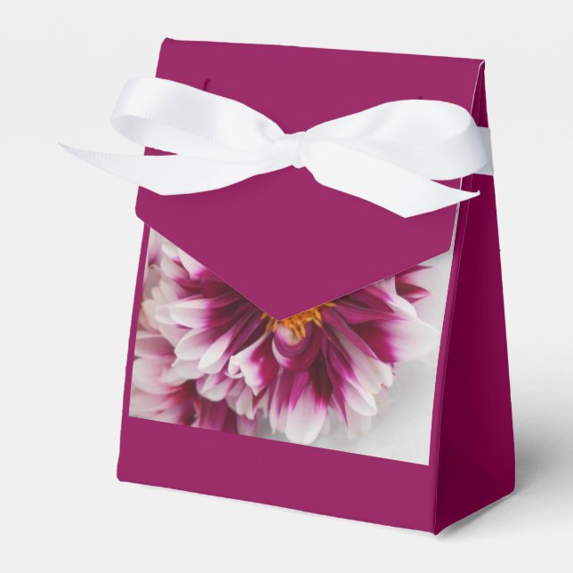 Cartheuserin Favour Box (Front Side)