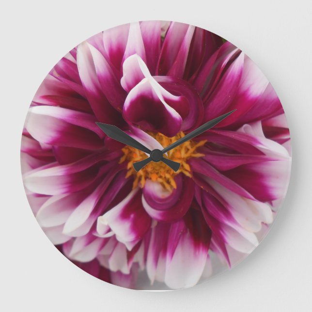 Cartheuserin Large Clock (Front)