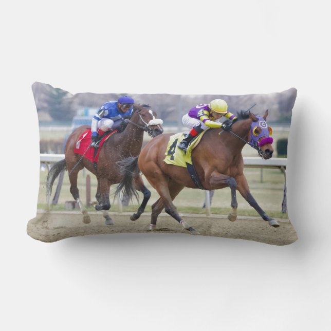 Carthon Lumbar Cushion (Front)